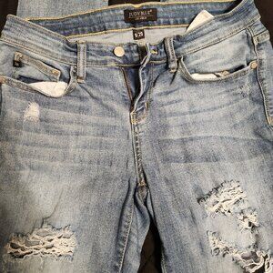Judy blue Distressed Skinny Jeans
